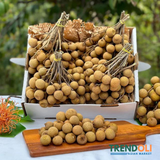 Fresh Longan Vietnam, Dimocarpus Dragon Eye - 1 Bag ( From 2-3 Lbs )