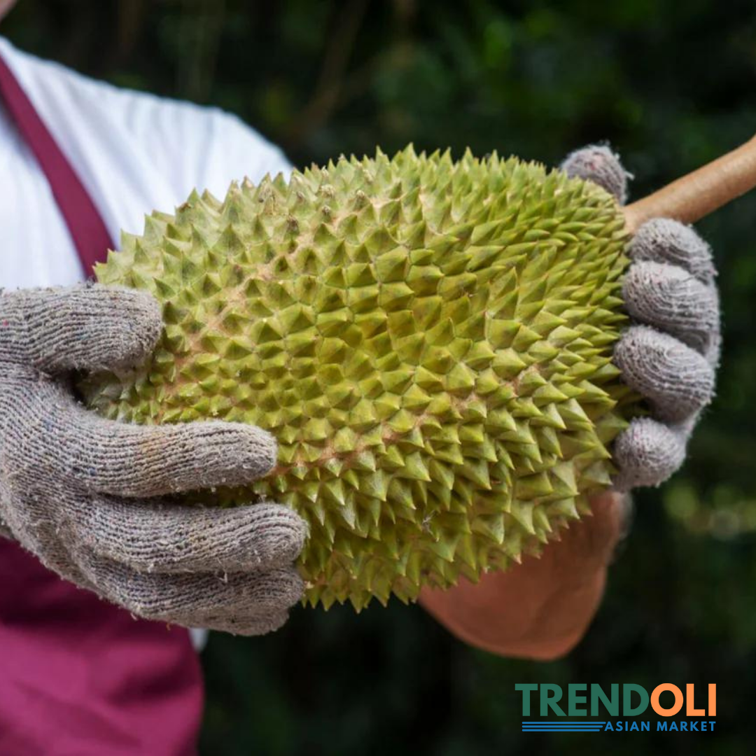 Musang King Malaysian Durian (D197) From 3.5 to 4.5 Lbs