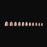 Apres Neutrals Gel-X Emma Box Of Nail Tips, 11 Sizes 00-9, Soft Gel Tip Box (150pcs) (Natural Almond Extra Short, 150)