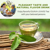 100 Natural Guava Leaves Tea Bags