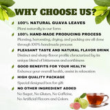 100 Natural Guava Leaves Tea Bags