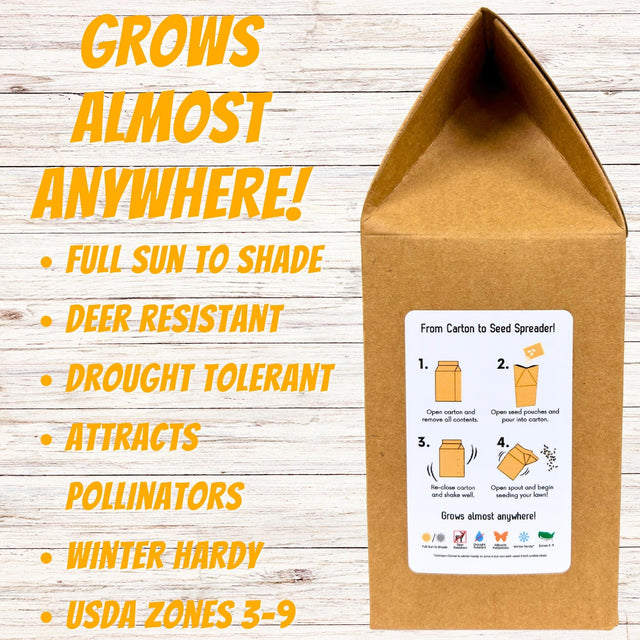 White Yarrow Eco-Friendly Seeding Kit