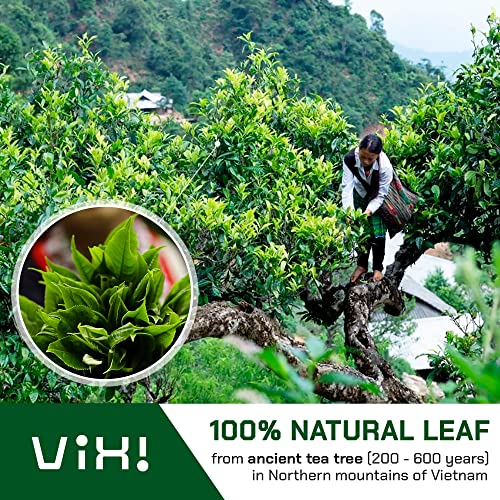 VIXI Green Tea Loose Leaf, Vietnam's Mountain Tea (Vietnamese Tea, 8.00 Oz)