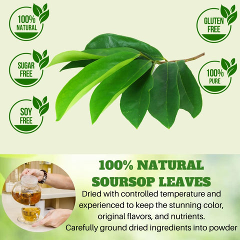 65 Soursop Tea Bags, 100% Natural Pure Soursop Leaves Tea Bags, Pleasant Taste Natural Flavor Caffeine Free, Soursop Leaves Dried Soursop Leaves Soursop Tea