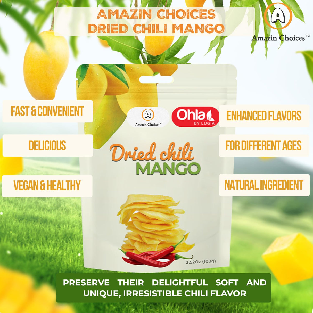 Amazin Choices Dried Chili Mango. Vegan, Non GMO and Gluten Free Chili Dried Mango Slices. Large Pack of Dried Fruit Snacks for Office - Snack Viet - Chili Fruit Snacks - Pack of One (3.5Oz)