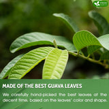 FreshDrinkUS, Premium 100+ Natural Guava Leaves, Whole Dried Leaves, 100% Pure from Guava Leaves, Natural Guava Loose Leaf Herbal Tea, No Additives, No Caffeine, Vegan