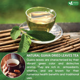 FreshDrinkUS, Premium 100+ Natural Guava Leaves, Whole Dried Leaves, 100% Pure from Guava Leaves, Natural Guava Loose Leaf Herbal Tea, No Additives, No Caffeine, Vegan
