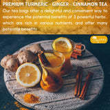 120 Bags Premium Turmeric Ginger Cinnamon Tea, Improve Digestion, Support Brain, Weight, Skin and Sleep, Eco-Conscious Tea Bags and Premium Natural Ingredients. Turmeric Ginger Herbal Tea. No Sugar, No Caffeine, No Gluten, Vegan.