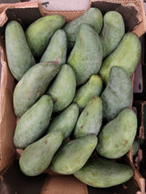 Fresh Thai Mango 1 - 3 LBS