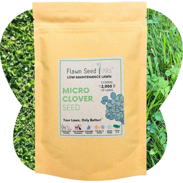 Micro Clover Seed