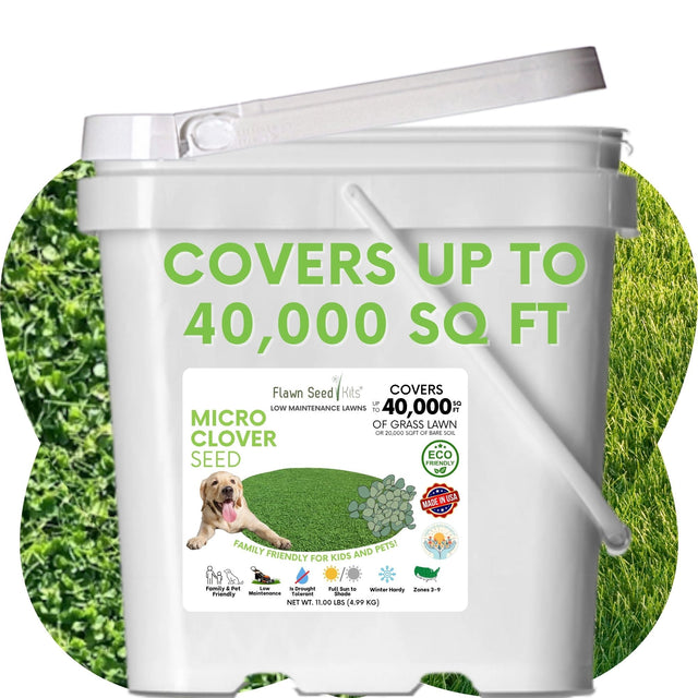 Micro Clover Seed