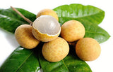 Fresh Longan Vietnam, Dimocarpus Dragon Eye - 1 Bag ( From 2-3 Lbs )