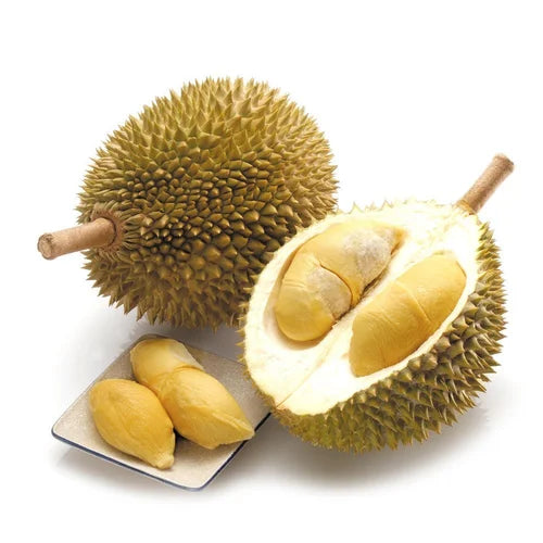 Musang King Malaysian Durian (D197) (猫山王榴莲) From 3.5 to 4.5 Lbs