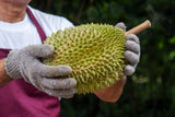 Musang King Malaysian Durian (D197) (猫山王榴莲) From 3.5 to 4.5 Lbs