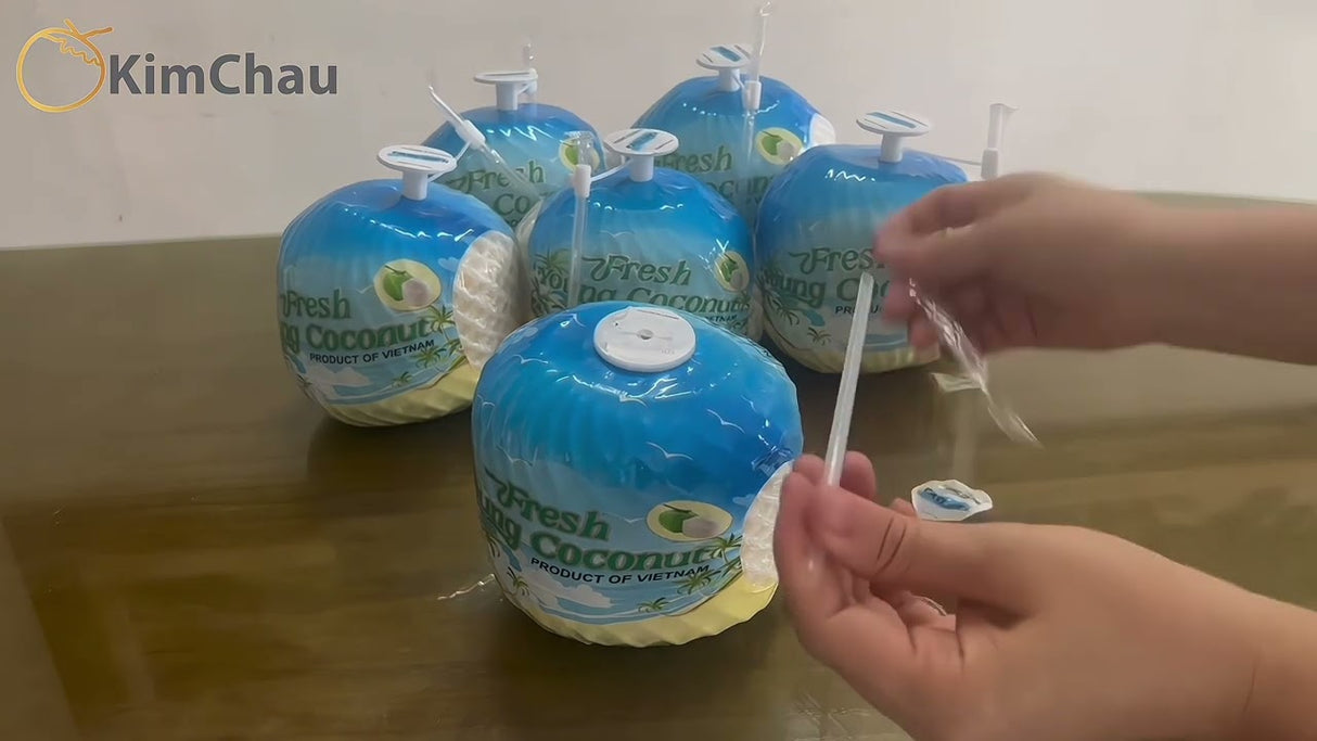 Young Fresh Coconut with Straw Pack of 1