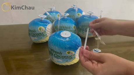 Young Fresh Coconut with Straw Pack of 1