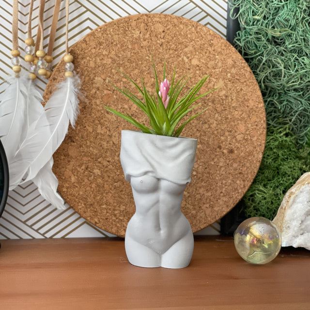Female Body Vase | AIR PLANT HOLDER