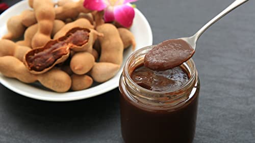 14oz (400g) Sweet and Sour Seedless Wet Tamarind Paste