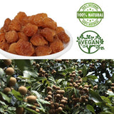 DOL Natural Dried Longan 100% Fruit Meat,Thailand sun dried longan,泰國桂圓幹/龍眼乾 8OZ=227g …