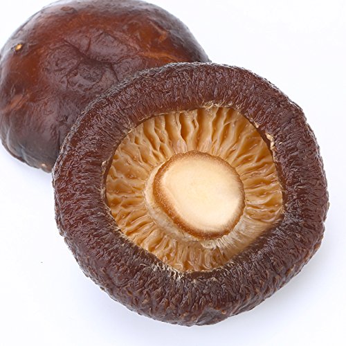 Dried Mushrooms 5 Pound 80 oz – Trendoli