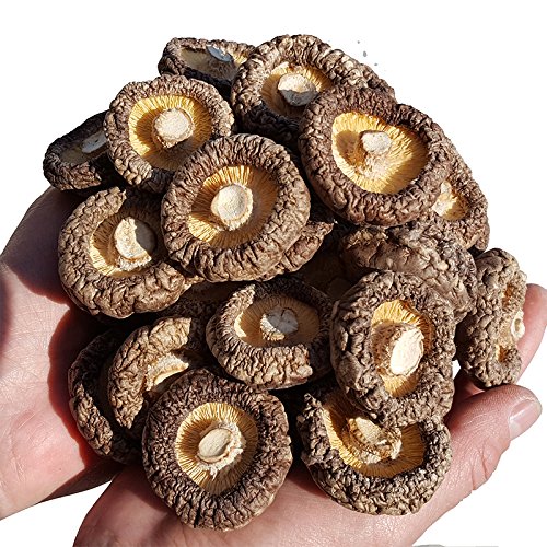 ONETANG Dried Mushrooms 5 Pound, New Season, Vacuum Packing, Dried Shiitake Mushrooms, Natural Grown Mushroom, No Fumigation Sulfur, 80 oz