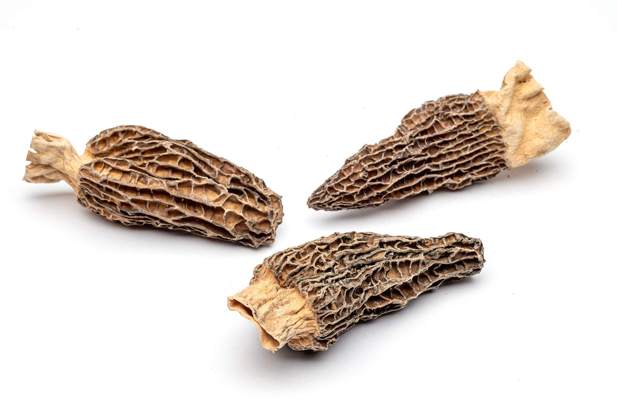 Slofoodgroup Dried Morel Mushrooms (Morchella Conica) Gourmet Morel Mushrooms ( 2 oz Dried Morels)