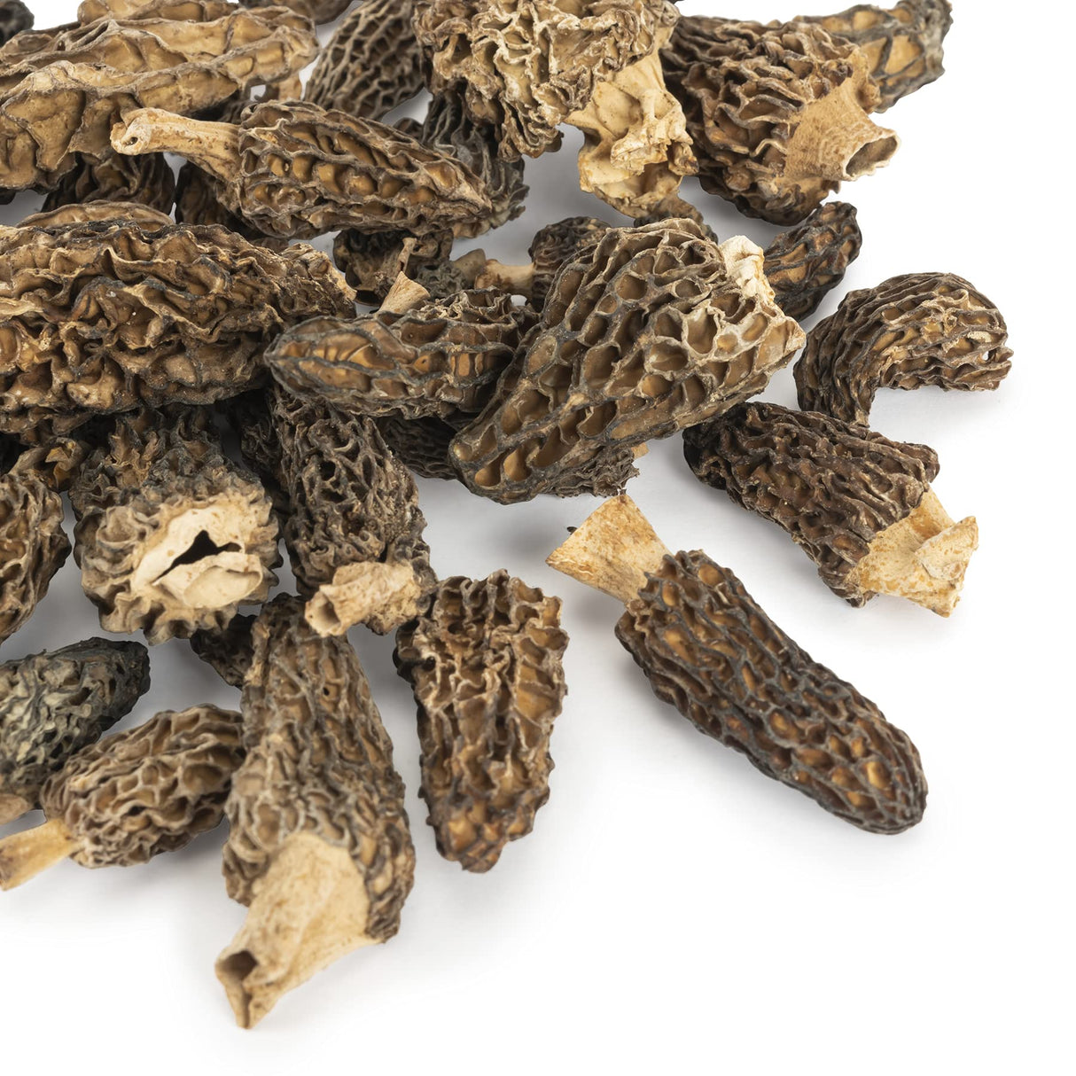 Slofoodgroup Dried Morel Mushrooms (Morchella Conica) Gourmet Morel Mushrooms ( 2 oz Dried Morels)