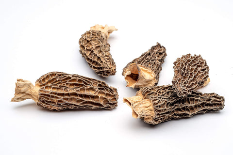 Slofoodgroup Dried Morel Mushrooms (Morchella Conica) Gourmet Morel Mushrooms ( 2 oz Dried Morels)